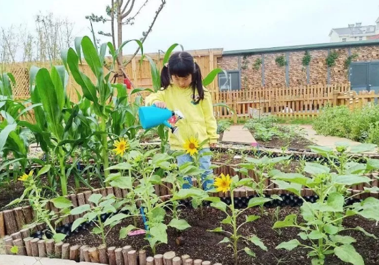 小满活动 | 10个奇妙的节气活动，带你体味其中的人生道理-幼师课件网第12张图片