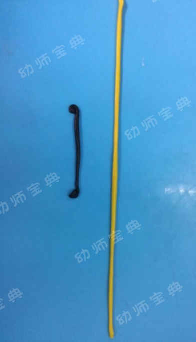 大班手工教案 | 端午佳节又将至，陶艺彩泥赛龙舟-幼师课件网第10张图片