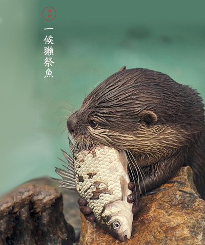 二十四节气 第二节 | 雨水，最是一年春好处-幼师课件网第6张图片