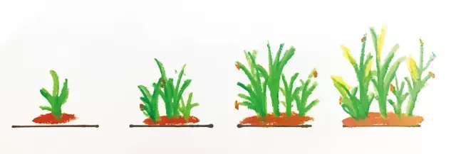 教学方法 | 跟着特级教师玩转序列-幼师课件网第2张图片