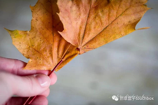 秋季手工 | 秋天这么美，不玩叶子怎么行？-幼师课件网第27张图片