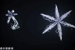 大班艺术领域美术活动 | 剪纸手工《雪花》-幼师课件网第8张图片