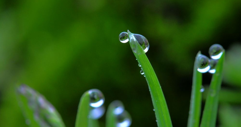 幼儿园中班音乐活动：《春雨沙沙》-幼师课件网第2张图片