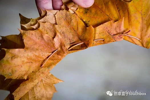 秋季手工 | 秋天这么美，不玩叶子怎么行？-幼师课件网第30张图片