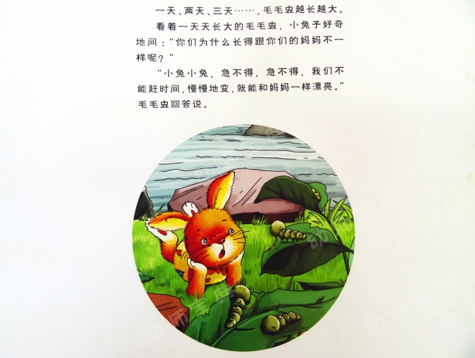 中班语言教案 | 新邻居（化茧成蝶的毛毛虫）-幼师课件网第11张图片