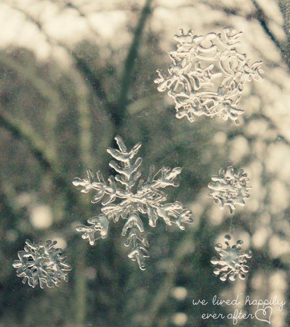 晶莹剔透的雪花窗贴，自己就可以做-幼师课件网第1张图片