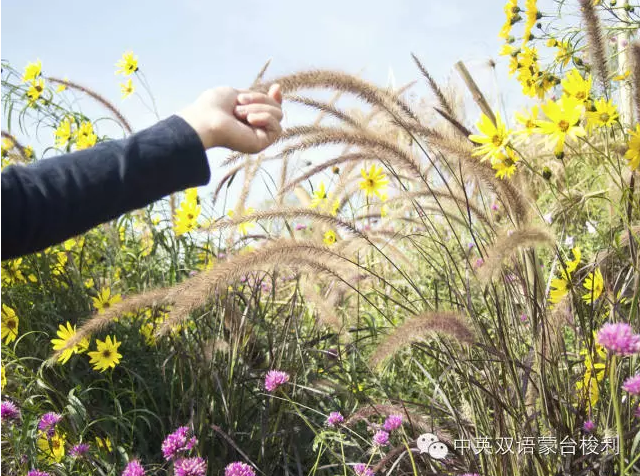 蒙台梭利 | 我们可以为孩子提供什么样有意义的室内环境？-幼师课件网第66张图片