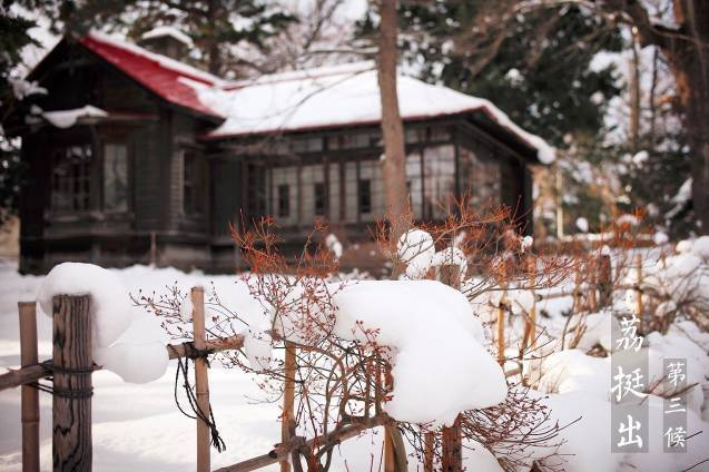 大雪节气活动 | 这9个有趣的节气活动，带你品鉴冬的诗意-幼师课件网第52张图片