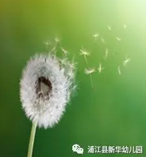 中班主题活动《飞呀飞》飞呀飞呀，我的骄傲放纵~-幼师课件网第2张图片