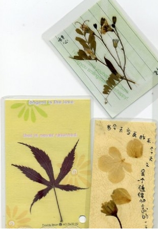 小班艺术领域美术活动 |《树叶书签》-幼师课件网第10张图片
