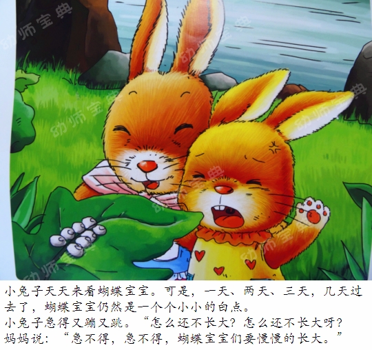 中班语言教案 | 新邻居（化茧成蝶的毛毛虫）-幼师课件网第8张图片