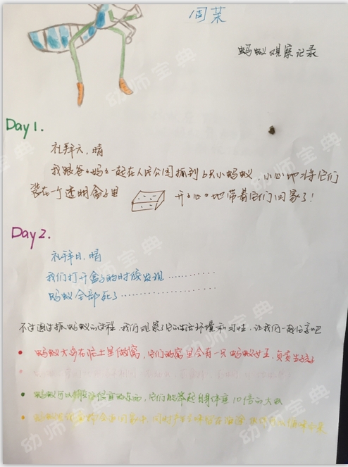 主题墙 | 《我的蚂蚁朋友》-幼师课件网第16张图片