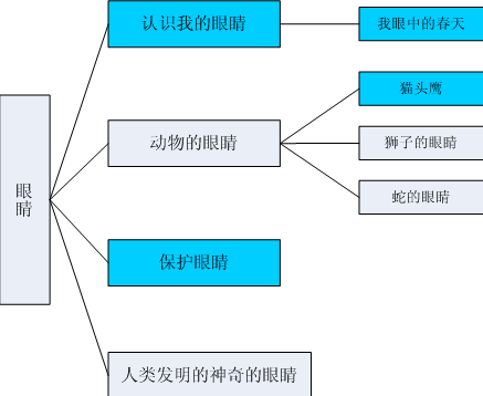 中班科学教案：神奇的眼睛-幼师课件网第3张图片