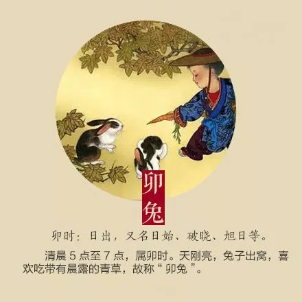 春节主题活动 | 玩转12生肖（手指谣+趣味科普+童话剧）-幼师课件网第9张图片