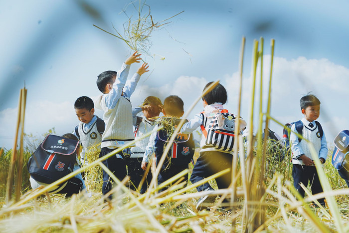 五爱幼教集团开展”我的秋游我做主”秋游活动-幼师课件网第1张图片