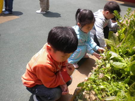 教育随笔 | 一只壁虎的“断尾案”——抓住教育契机  引领幼儿成长-幼师课件网第1张图片