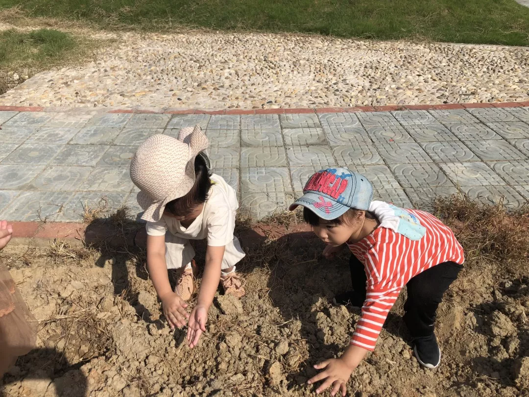 寒露节气活动 | 这8个有趣的节气活动，带你走进寒露的美-幼师课件网第25张图片