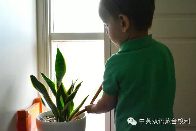 蒙台梭利 | 我们可以为孩子提供什么样有意义的室内环境？-幼师课件网第38张图片