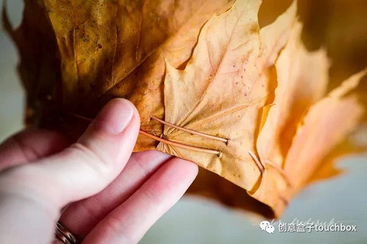 秋季手工 | 秋天这么美，不玩叶子怎么行？-幼师课件网第31张图片