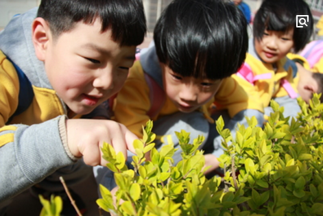 小班春季主题活动 | 美丽的春天-幼师课件网第1张图片