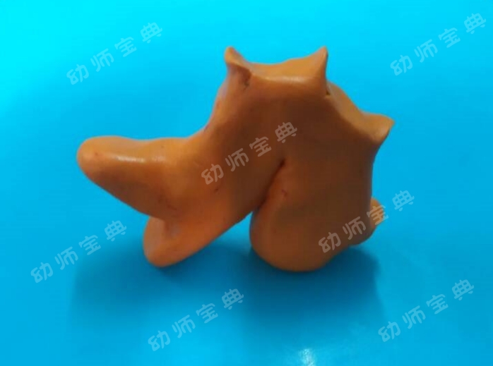 大班手工教案 | 端午佳节又将至，陶艺彩泥赛龙舟-幼师课件网第9张图片