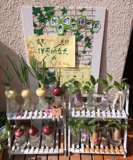 全屋环创 | 新学期打造一套小清新的班级环创，欢迎小朋友回来！-幼师课件网第34张图片