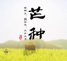 亲子时光 | 芒种节气家庭活动-幼师课件网第5张图片