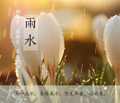 二十四节气 第二节 | 雨水，最是一年春好处-幼师课件网第4张图片