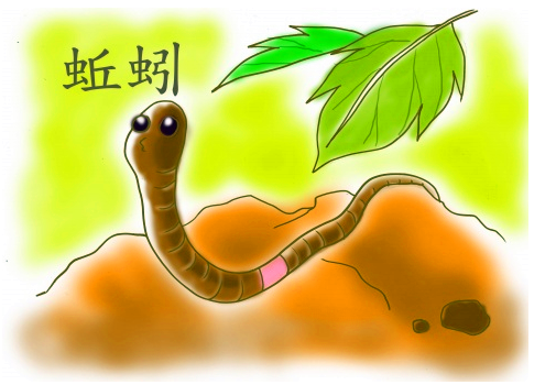 春天的动植物 | 中班科学活动《寻找蚯蚓》（随机课程开展实录）-幼师课件网