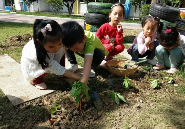 芒种节气活动 | 11个有趣的活动，带你走进忙碌的节气里-幼师课件网第30张图片