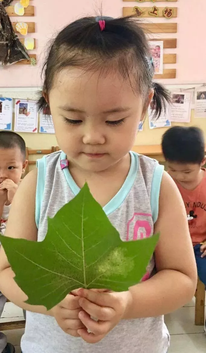 立秋节气活动 | 这10个有趣的活动，带孩子了解时令的秘密-幼师课件网第22张图片