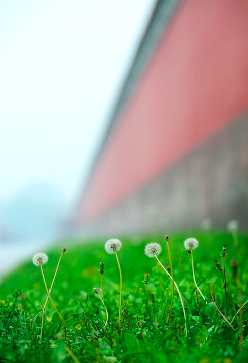 二十四节气第十一节 | 小暑：倏忽温风至，因循小暑来-幼师课件网第30张图片