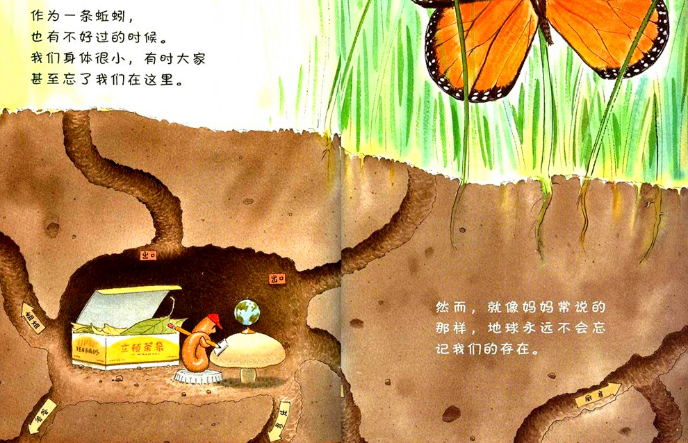 春天的动植物 | 中班科学活动《寻找蚯蚓》（随机课程开展实录）-幼师课件网第2张图片