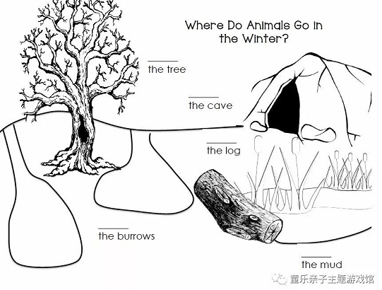 主题活动 | 美国幼师怎么带孩子学《冬眠的动物》这个主题？-幼师课件网第9张图片