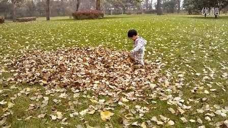 树叶游戏 | 听说机智的幼师，在孩子玩树叶时会问这些问题…-幼师课件网第2张图片