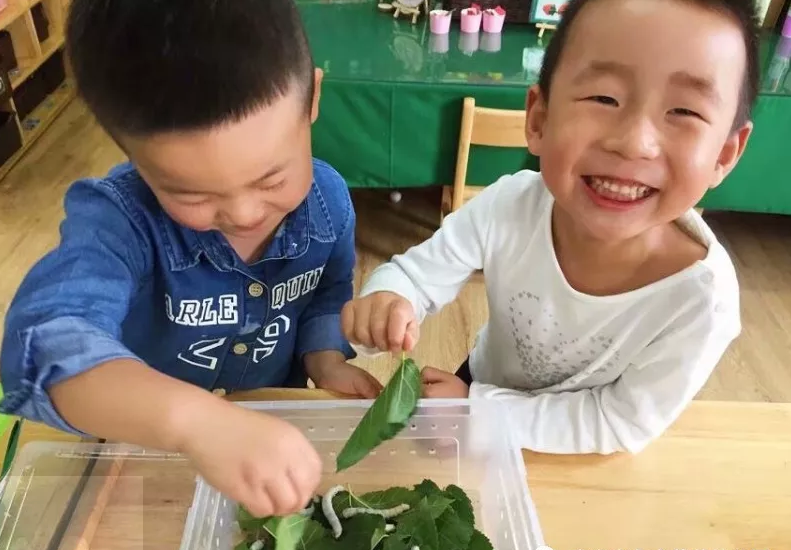 小满活动 | 10个奇妙的节气活动，带你体味其中的人生道理-幼师课件网第24张图片