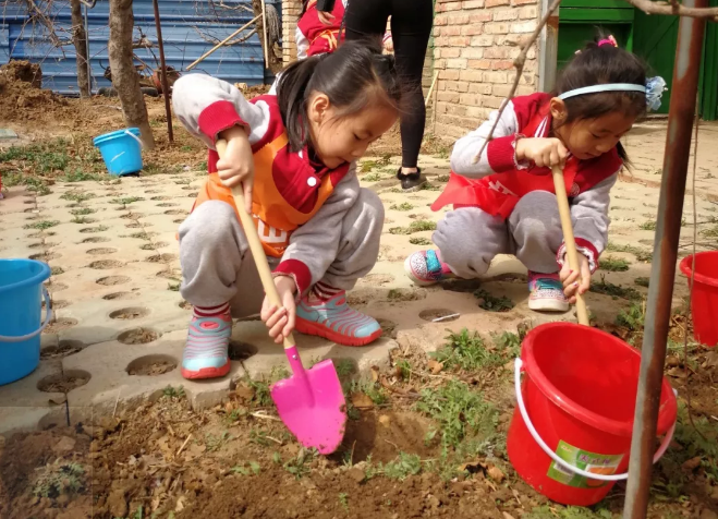 植树节活动 | 与孩子们一起将环保进行到底！-幼师课件网第18张图片