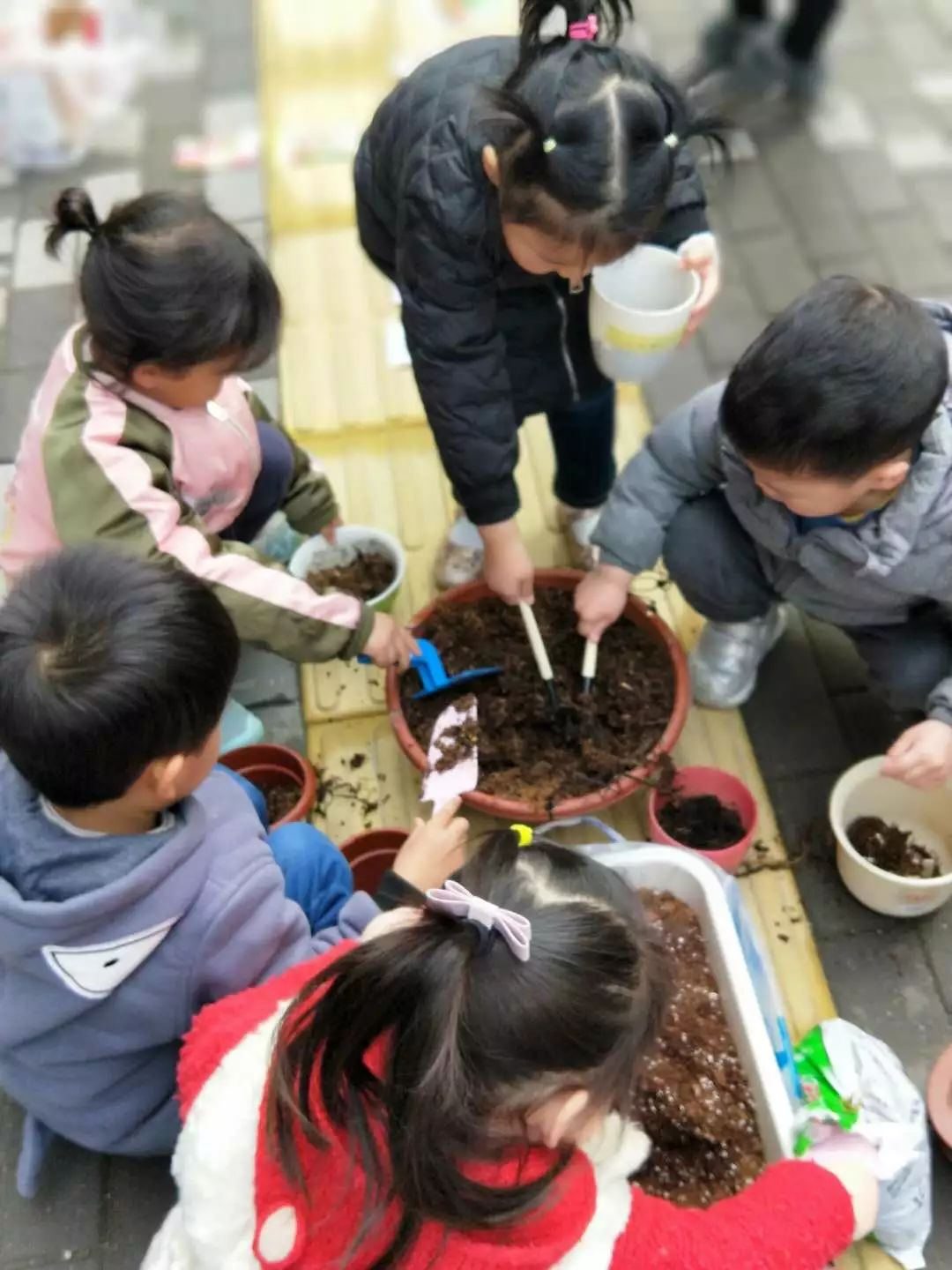 春分 | 孩子们的节气课，体验传统文化的魅力-幼师课件网第8张图片