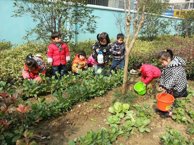 劳动节 | 从劳动中获得快乐，小中大班活动方案都在这！-幼师课件网第9张图片