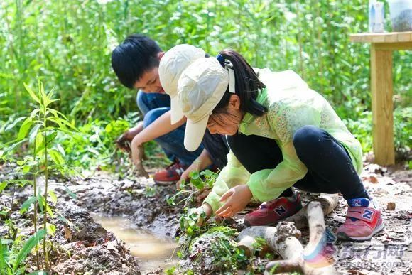 虞永平：在疫情中重新认识学前教育可持续发展-幼师课件网第4张图片