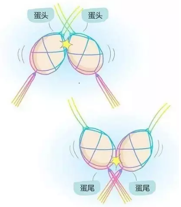 亲子活动 | “立夏”原来这么不一般-幼师课件网第3张图片