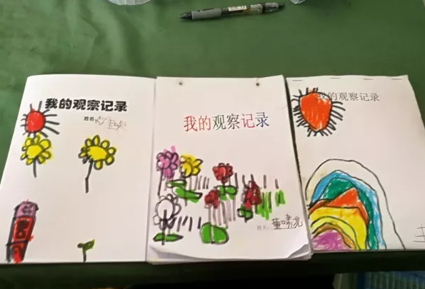 幼儿园春季种植活动 | 为我们的地球增添一抹绿-幼师课件网第8张图片