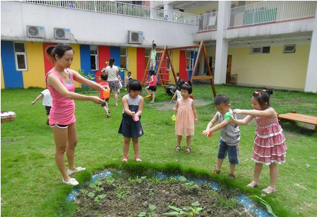 自然角观察记录 | 小苗到底需要多少水？-幼师课件网第4张图片