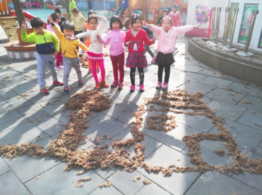 连续性探究活动 | 小芽苞里的秘密-幼师课件网第11张图片