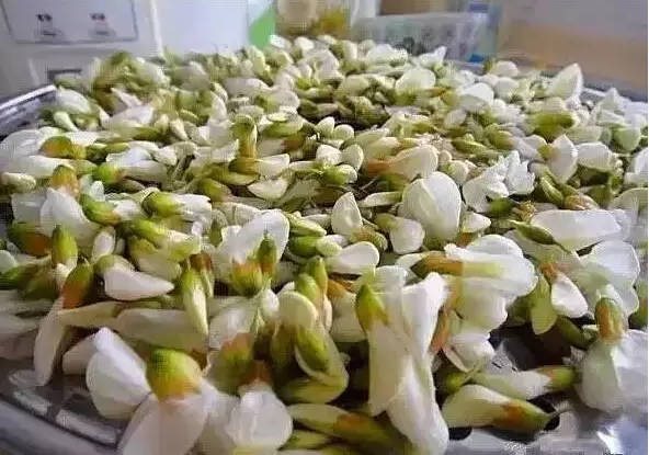 不看就晚了！花期将过，赶紧做道槐花美食吧！-幼师课件网第6张图片