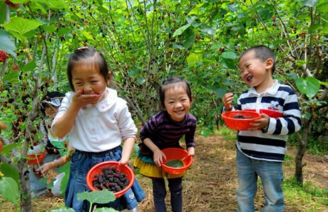 小满活动 | 10个奇妙的节气活动，带你体味其中的人生道理-幼师课件网第20张图片