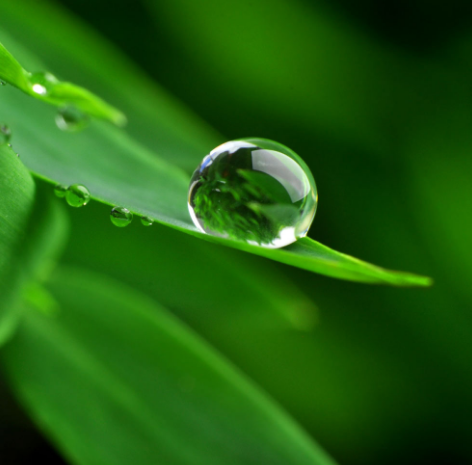 细雨 | 下雨天只会睡觉？这十个游戏给你和孩子雨天的专属浪漫-幼师课件网第43张图片