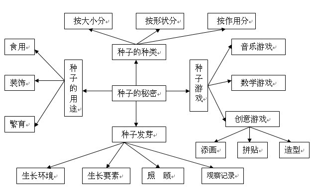 中班主题活动：种子的秘密-幼师课件网第3张图片