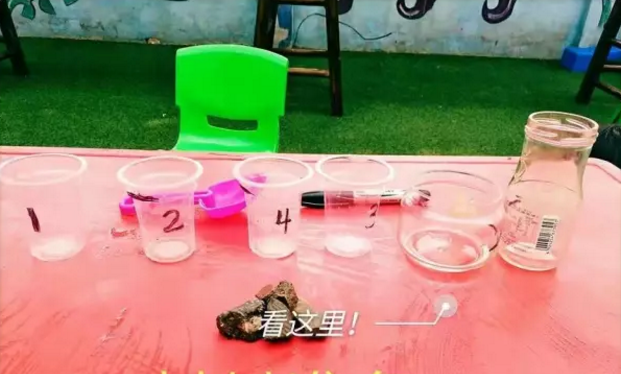 大班科学领域数学活动 | 一样多的水(容积守恒)-幼师课件网
