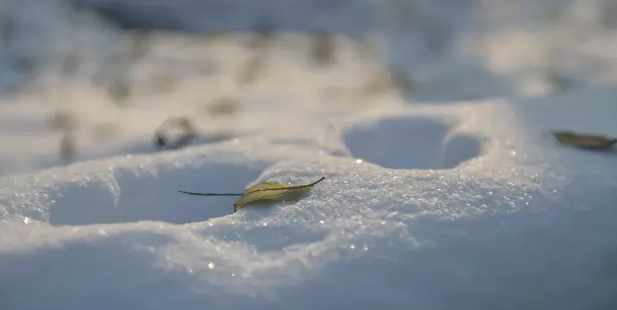 紫水晶|今天最重要的课程是玩儿雪……-幼师课件网第1张图片